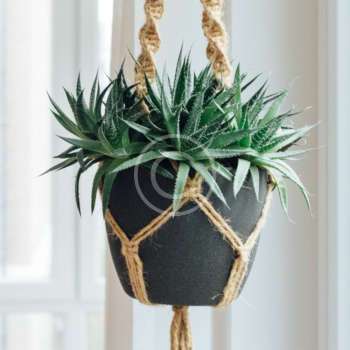 Black stone vase